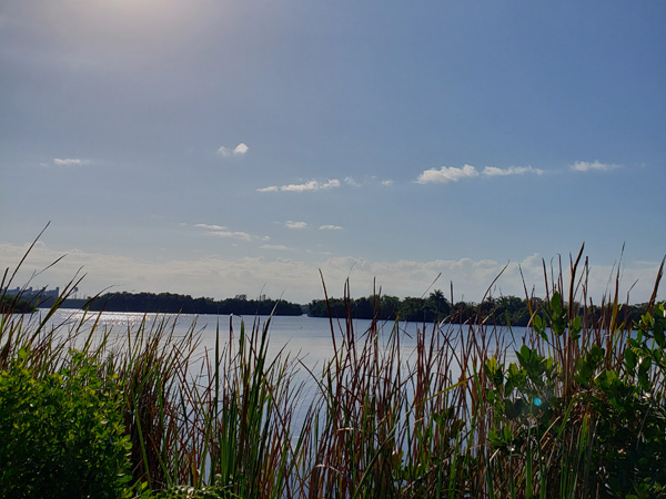 Caloosahatchee Creeks Preserve in N. Fort Myers, FL