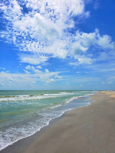 Aktuelles Wetter in SW Florida - Sonne, Strand und Palmen 