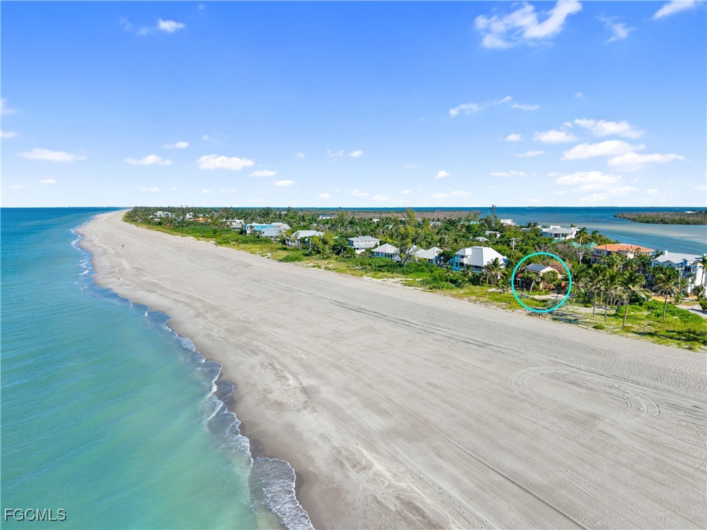 https://www.florida2000.de/images/latest/223036615-63608816.jpg