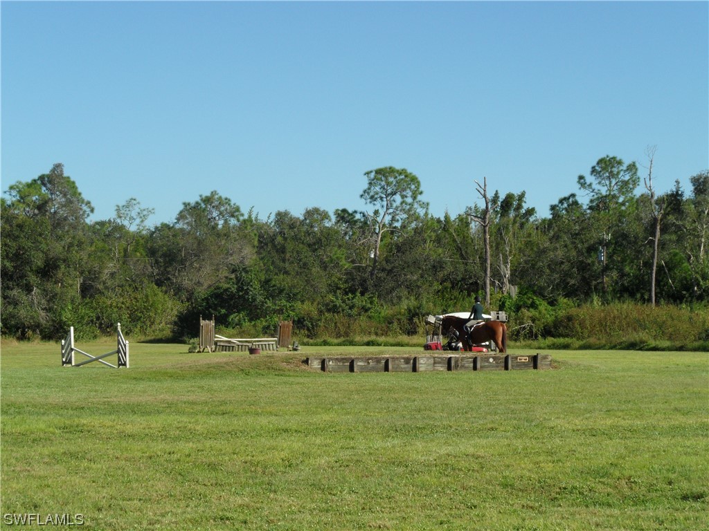 https://www.florida2000.de/images/latest/224016781-54398336.jpg
