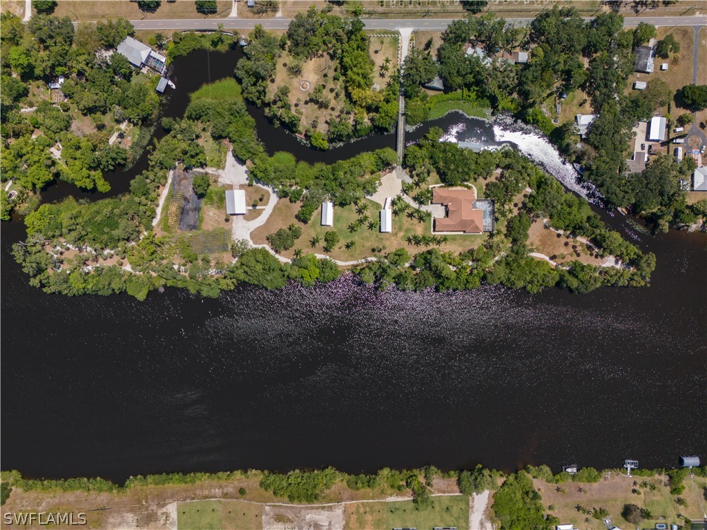 https://www.florida2000.de/images/latest/224043061.jpg