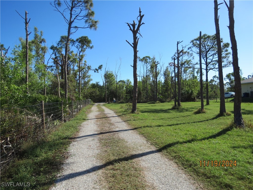 https://www.florida2000.de/images/latest/224093178.jpg